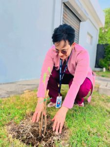Read more about the article Hospital Infantil Dr. Arturo Grullón impulsa la reforestación para un entorno más saludable