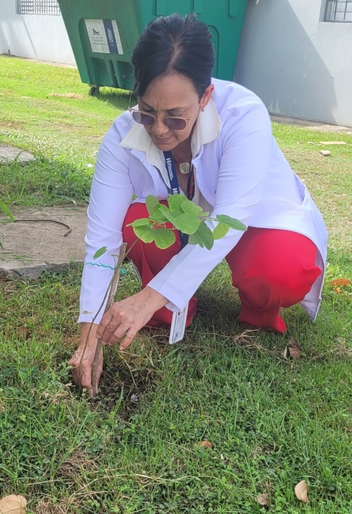 Read more about the article Jornada ambiental de reforestación y limpieza en el Hospital Infantil Dr. Arturo Grullón