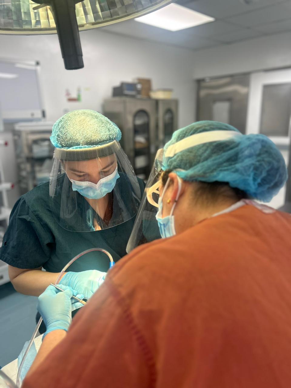 You are currently viewing Hospital Infantil Dr. Arturo Grullón fortalece la inclusión con servicios odontológicos especializados